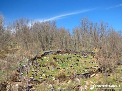 Molinos Hiruela; asociacion senderismo madrid; grupos para hacer senderismo;que sitios visitar en ma